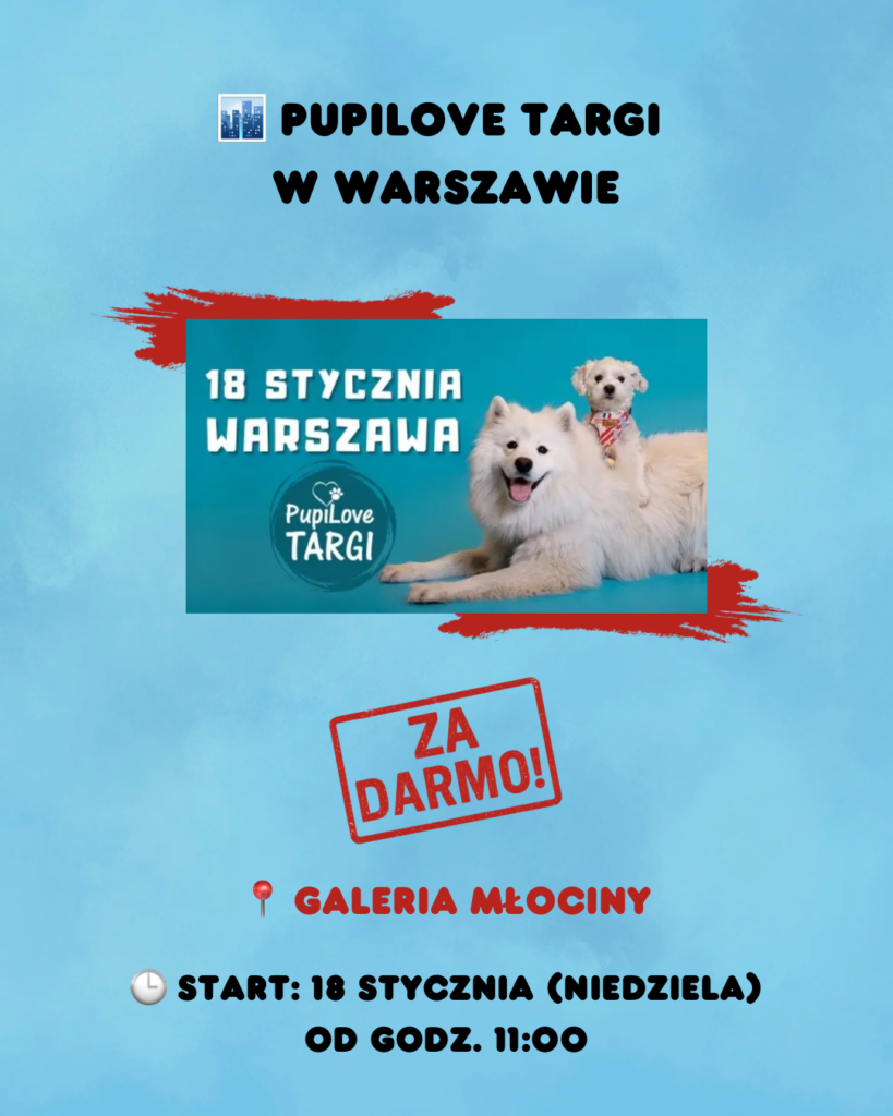 Weekend 16-18 stycznia w Warszawie - wydarzenia weekend 16 18.01 6