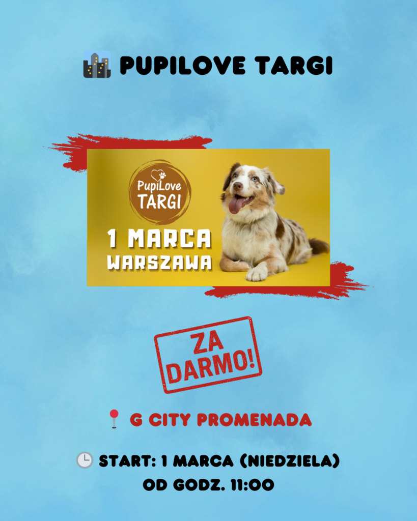 Wydarzenia w Warszawie 27 lutego – 1 marca: 19 propozycji na weekend 2