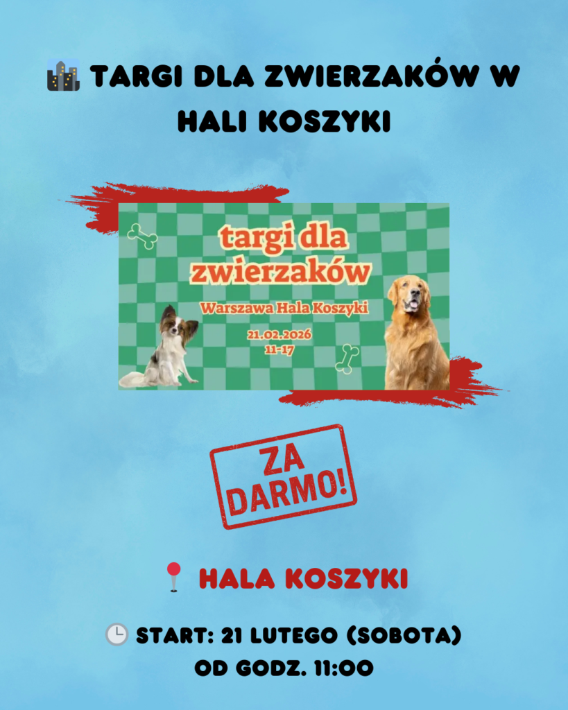 Weekend 20–22 lutego 2025 w Warszawie – co robić? Najciekawsze wydarzenia 8